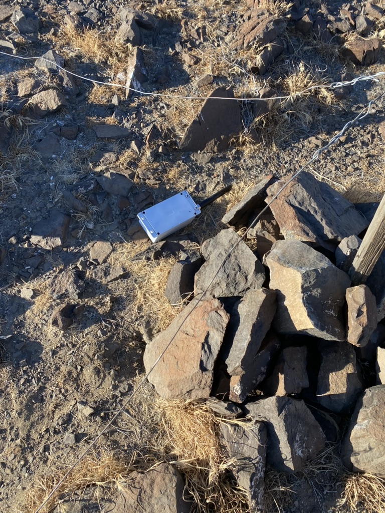 Close-up of the node on rocky ground after it fell from the mast